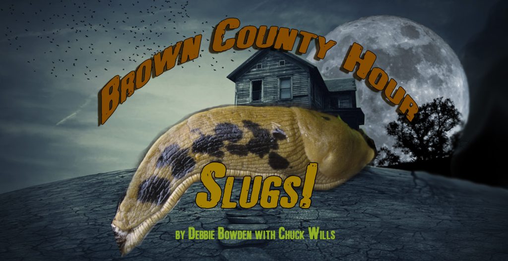 Slugs